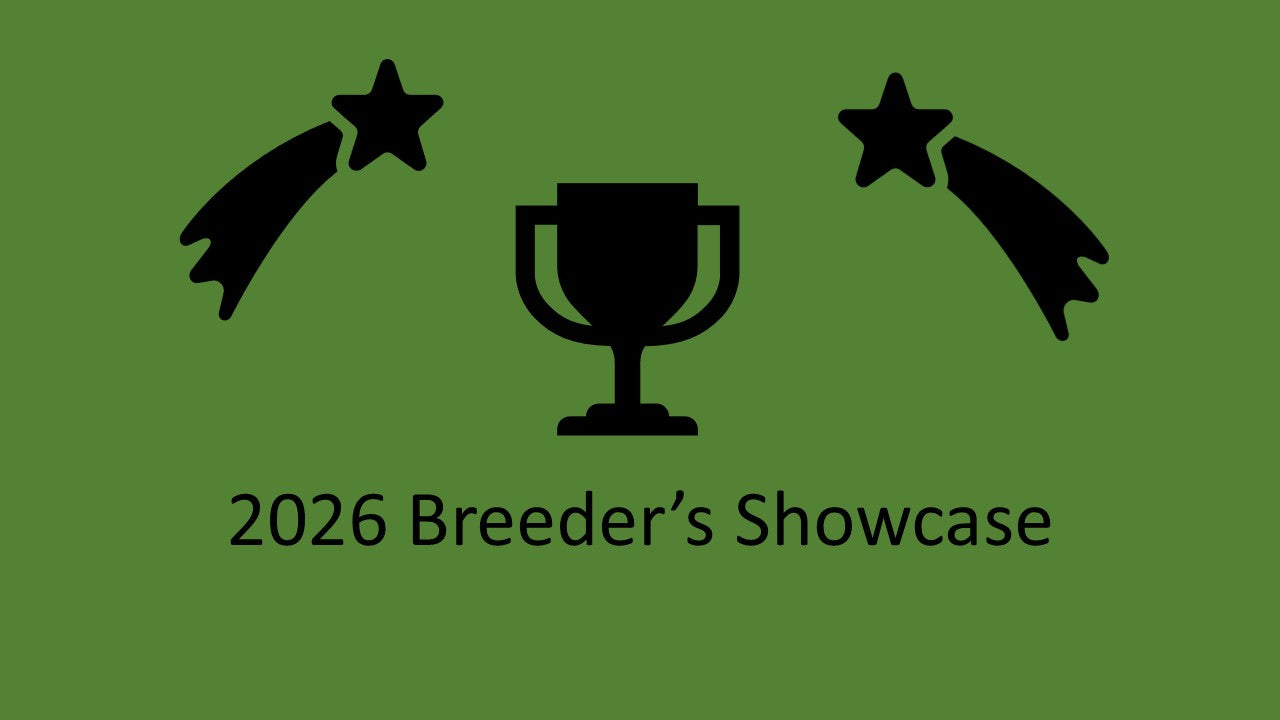2026 National Specialty Breeder's Showcase