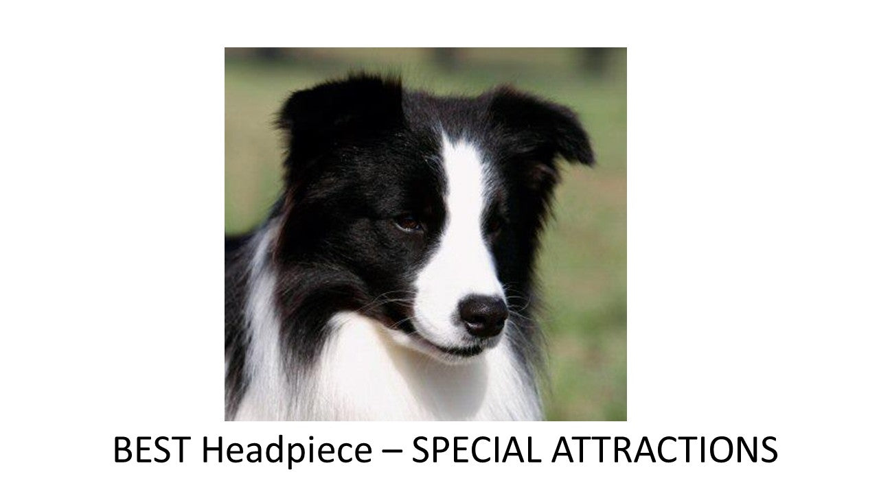 2026 - Special Attraction - Best Headpiece