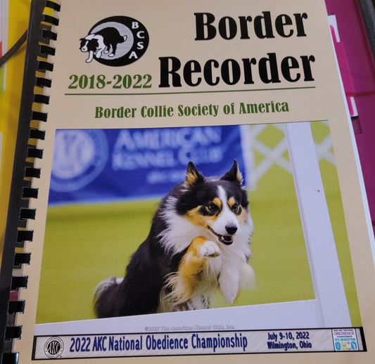 Border Recorder 2018 - 2022 for Home Shipment