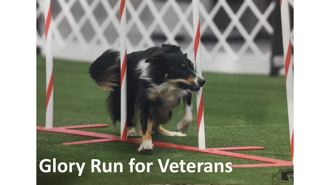 2026 - NS - Agility Glory Run for Veterans (age 7 and above)