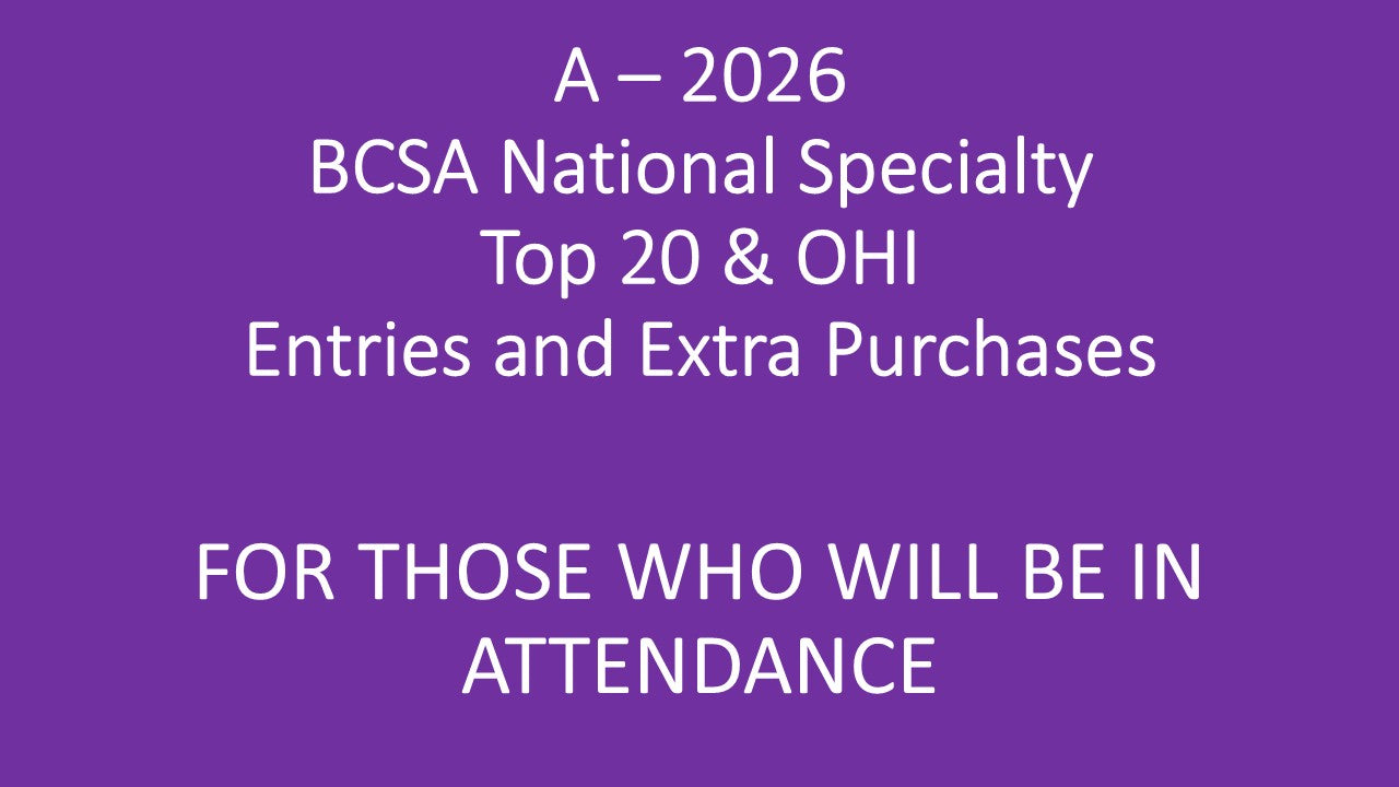 A - 2026 BCSA National Specialty Top 20 or Owner Handled Invitational For Those Who Will Be In Attendance