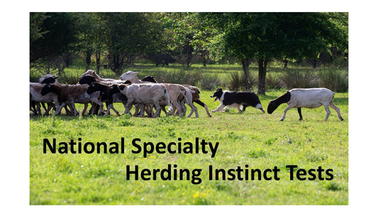2026 - NS Herding instinct Entry
