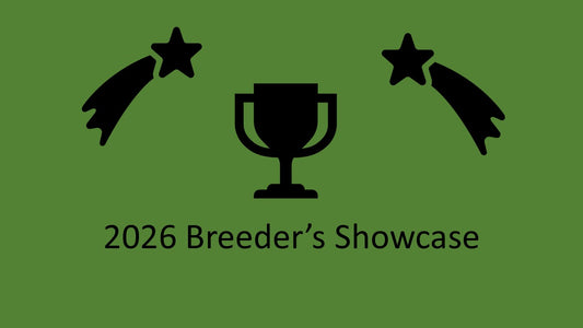 2026 - Special Attraction - Breeder's Showcase