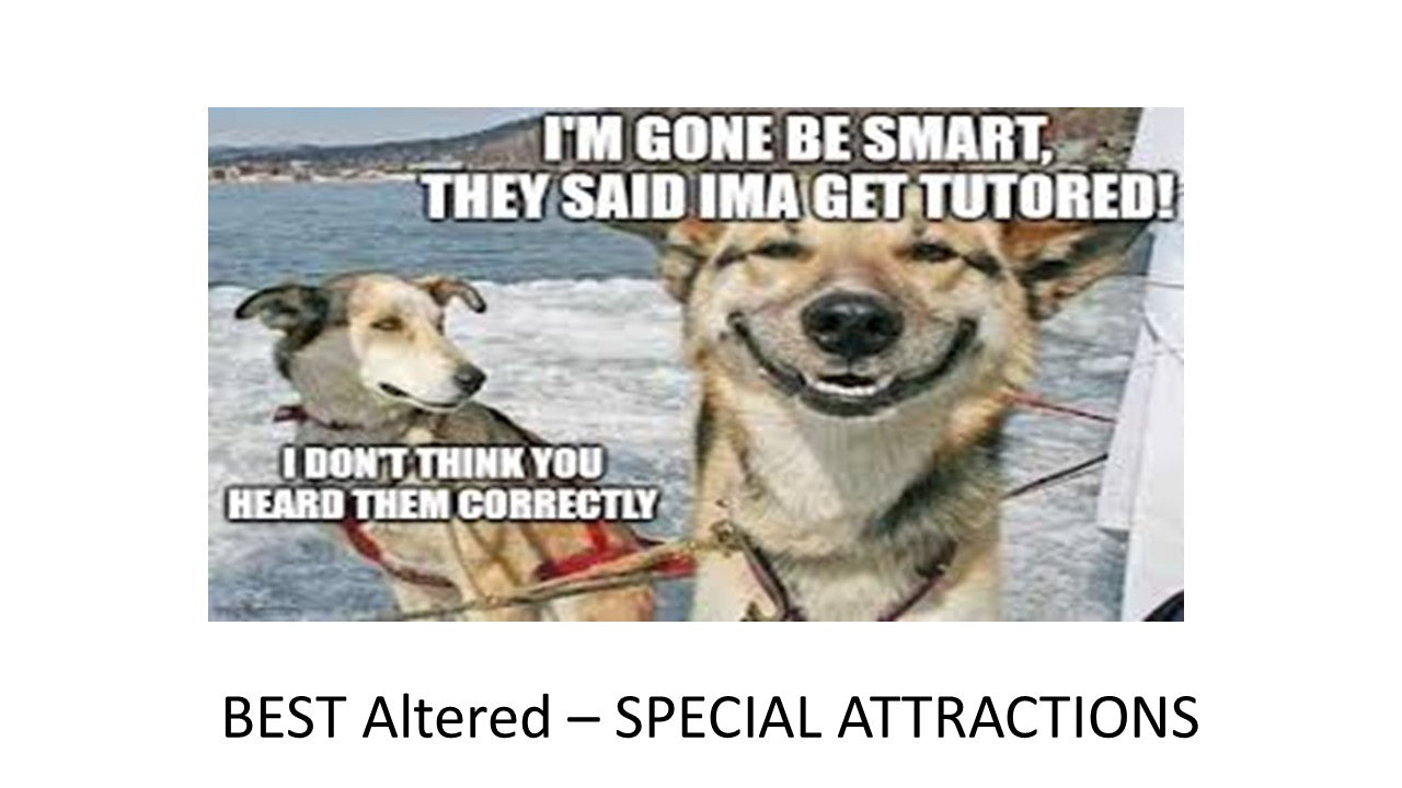 2026 - Special Attraction - Best Altered