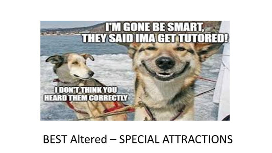 2026 - Special Attraction - Best Altered